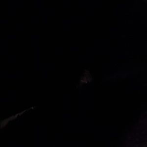 Meet your Posher, Monique